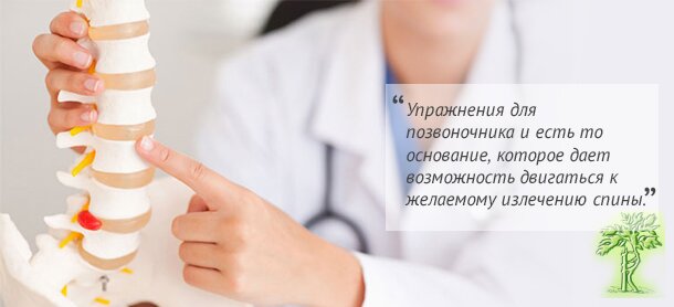 Вправи для хребта